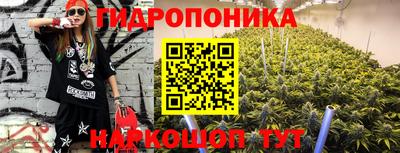 наркотики Гатчина