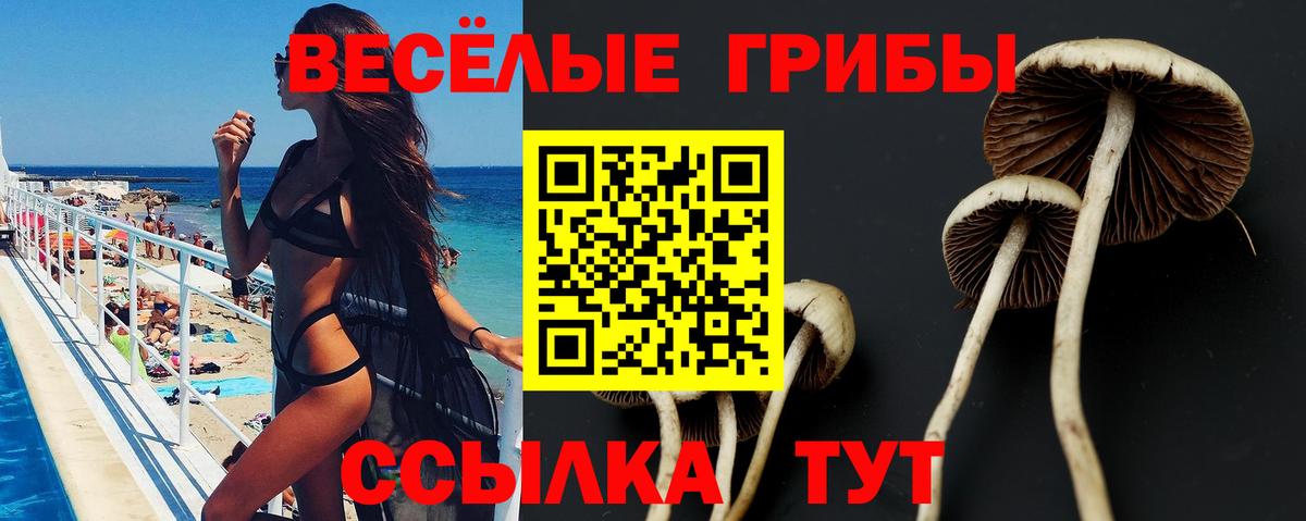 Кашира  Галлюциногенные грибы мухоморы  купить   Вход с VPN 