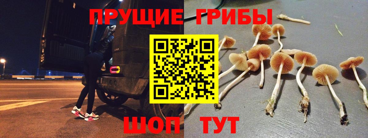 Галлюциногенные грибы MAGIC MUSHROOMS Кашира